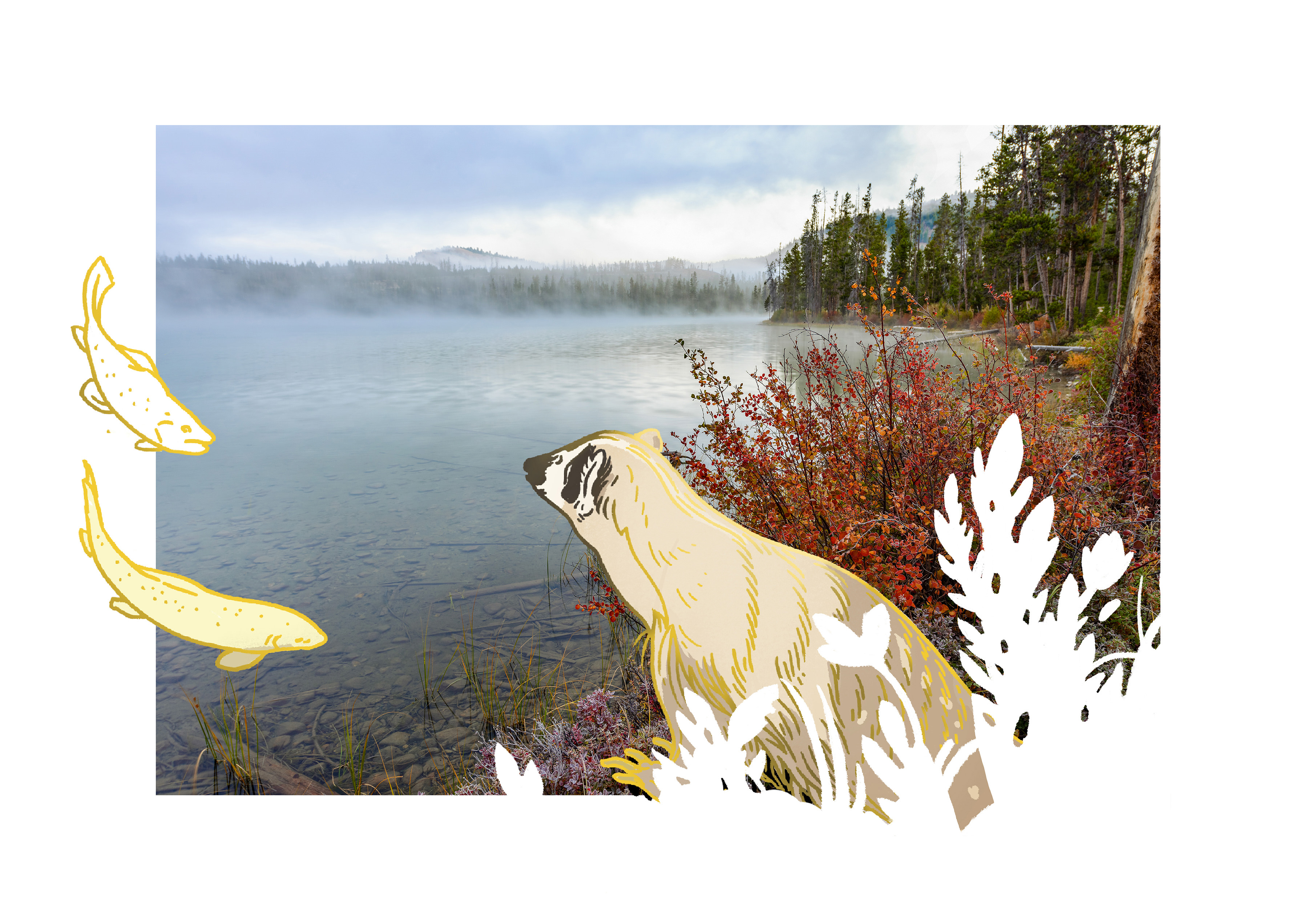 an illustrated badger and fish explore a lake and forest.